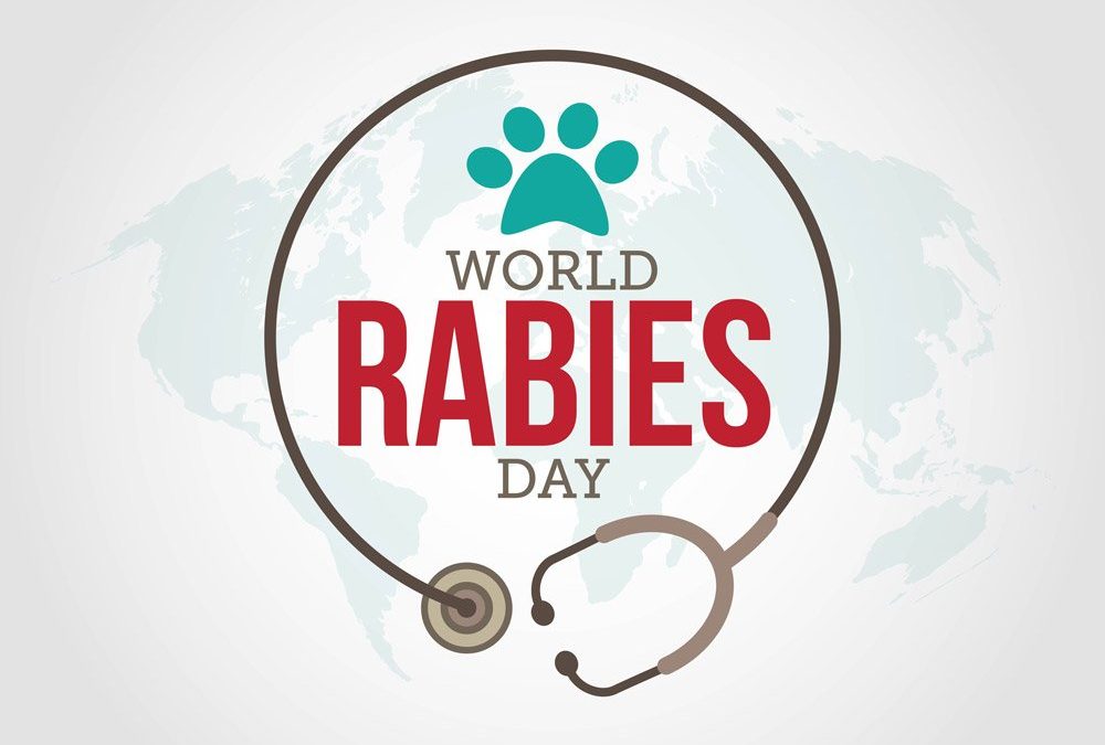 What is Rabies & how to treat Rabies?