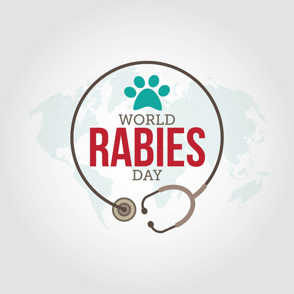 What is Rabies & how to treat Rabies?